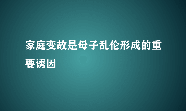 家庭变故是母子乱伦形成的重要诱因