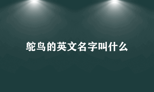 鸵鸟的英文名字叫什么