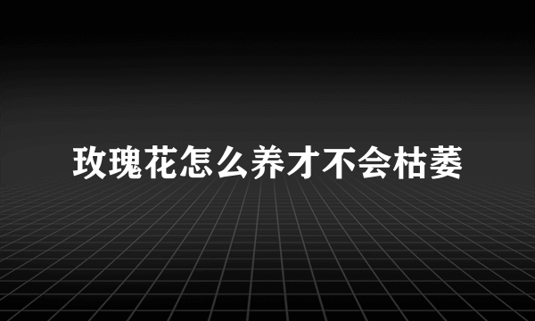 玫瑰花怎么养才不会枯萎