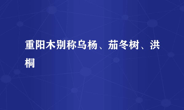 重阳木别称乌杨、茄冬树、洪桐