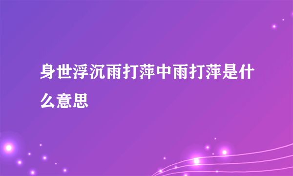 身世浮沉雨打萍中雨打萍是什么意思