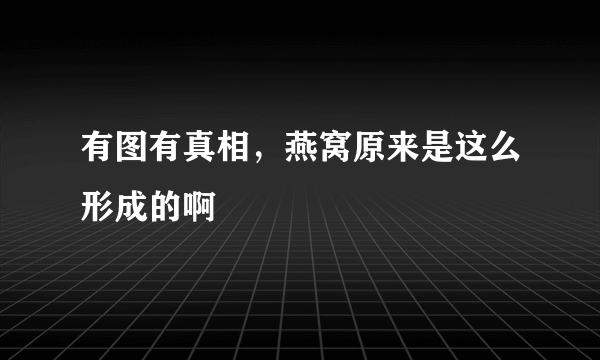 有图有真相，燕窝原来是这么形成的啊