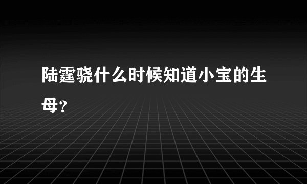 陆霆骁什么时候知道小宝的生母？