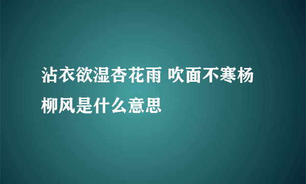 沾衣欲湿杏花雨 吹面不寒杨柳风是什么意思