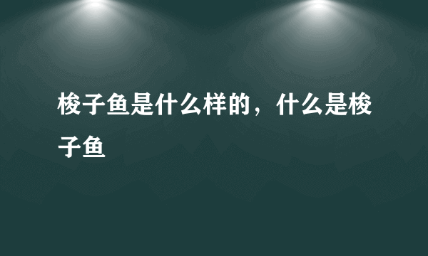 梭子鱼是什么样的，什么是梭子鱼