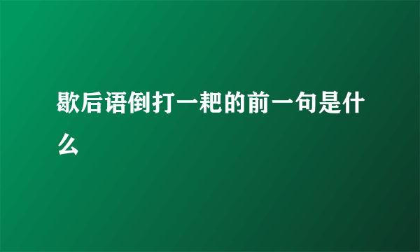 歇后语倒打一耙的前一句是什么