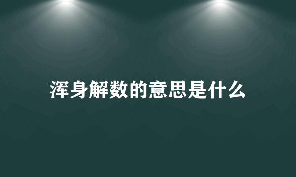 浑身解数的意思是什么