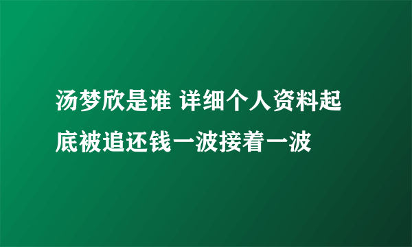 汤梦欣是谁 详细个人资料起底被追还钱一波接着一波