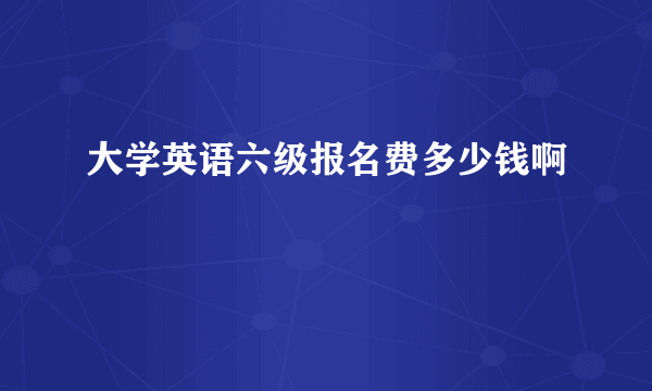 大学英语六级报名费多少钱啊