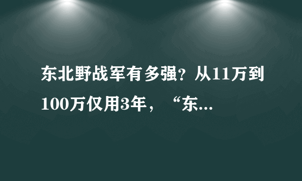 东北野战军有多强？从11万到100万仅用3年，“东北五虎”名震天下