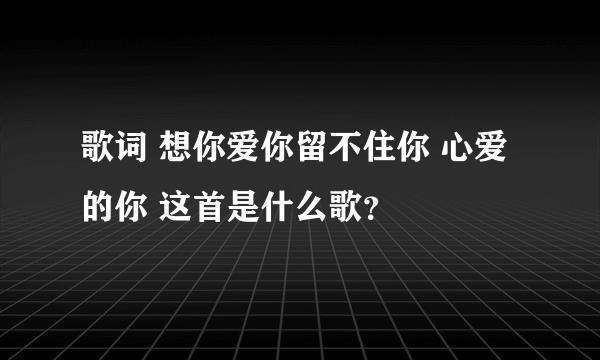 歌词 想你爱你留不住你 心爱的你 这首是什么歌？