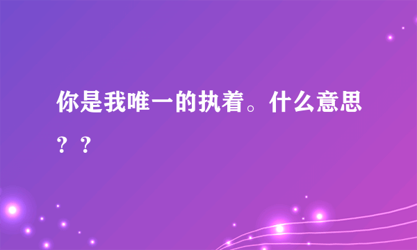 你是我唯一的执着。什么意思？？