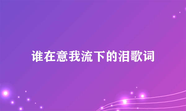 谁在意我流下的泪歌词