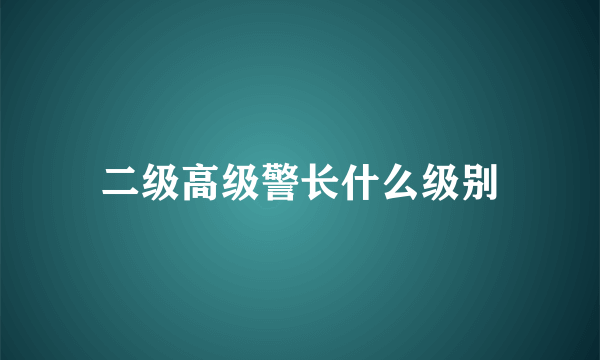 二级高级警长什么级别