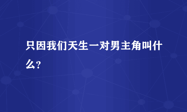 只因我们天生一对男主角叫什么？