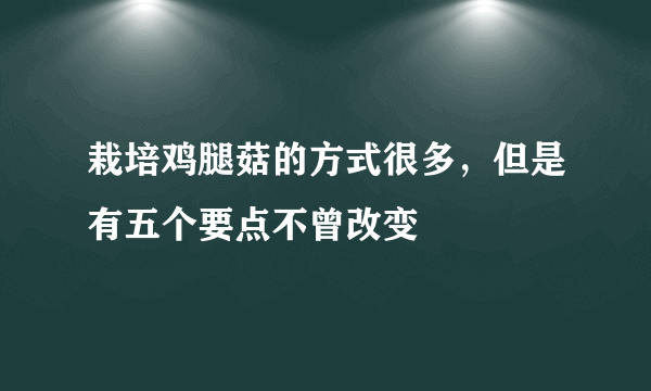 栽培鸡腿菇的方式很多，但是有五个要点不曾改变