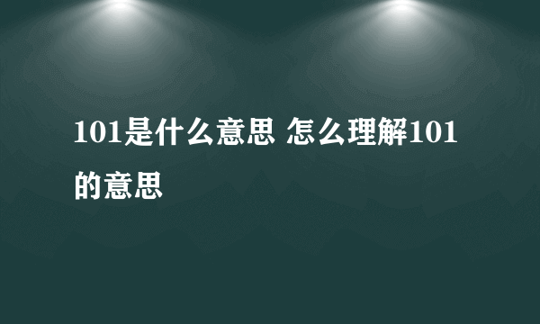 101是什么意思 怎么理解101的意思