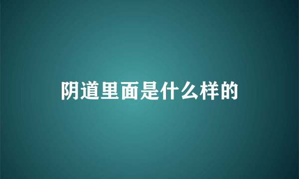 阴道里面是什么样的