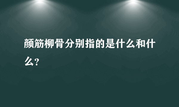 颜筋柳骨分别指的是什么和什么？