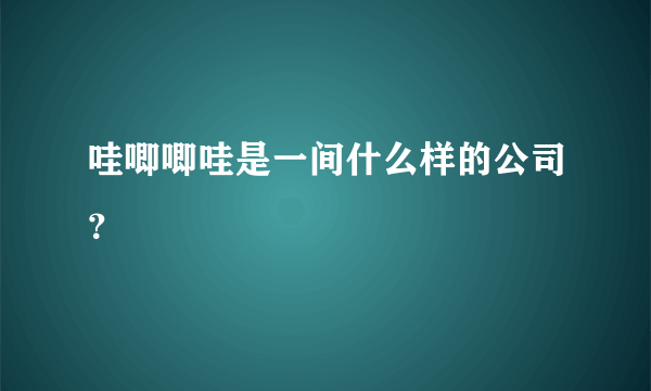 哇唧唧哇是一间什么样的公司？