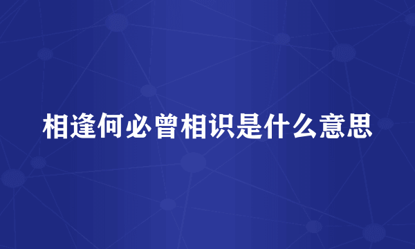 相逢何必曾相识是什么意思