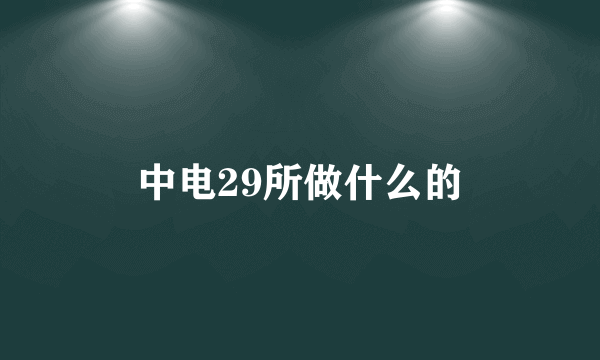 中电29所做什么的