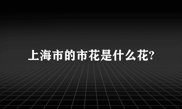 上海市的市花是什么花?