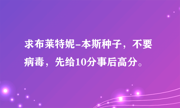 求布莱特妮-本斯种子，不要病毒，先给10分事后高分。