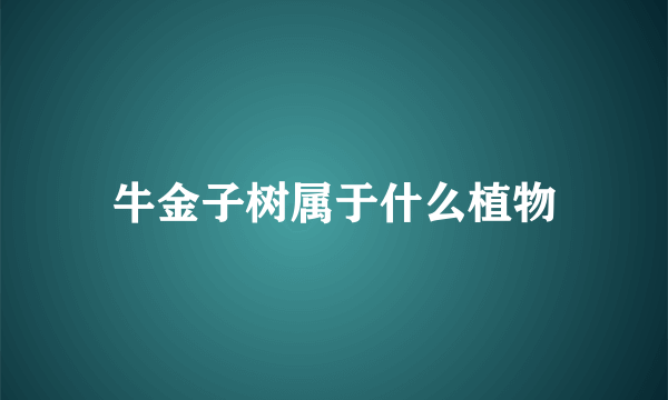 牛金子树属于什么植物