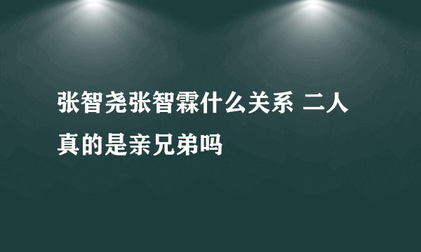 张智尧张智霖什么关系 二人真的是亲兄弟吗