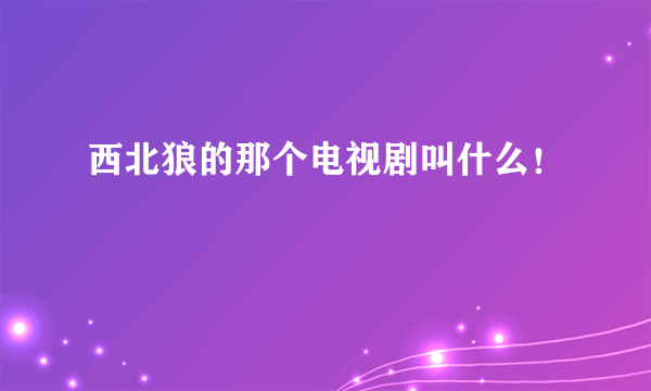 西北狼的那个电视剧叫什么！