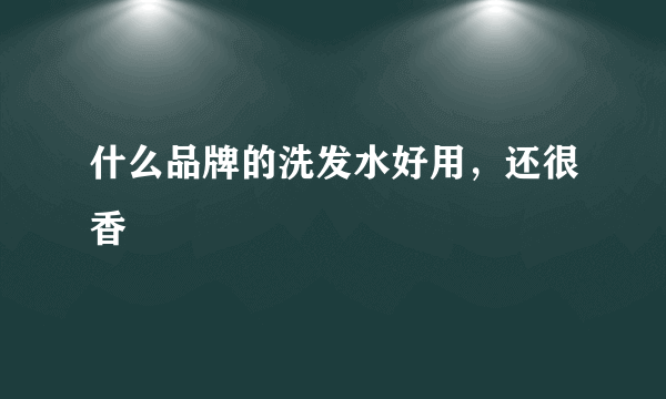 什么品牌的洗发水好用，还很香