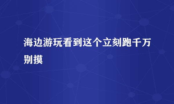 海边游玩看到这个立刻跑千万别摸