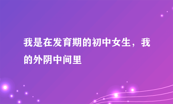 我是在发育期的初中女生，我的外阴中间里