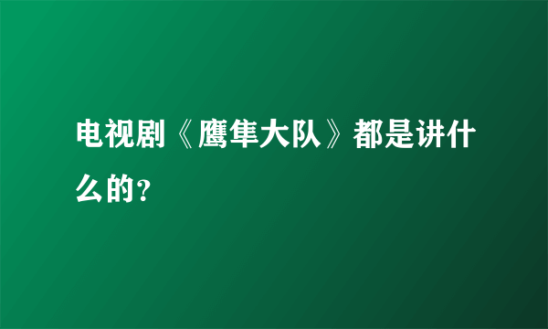 电视剧《鹰隼大队》都是讲什么的？