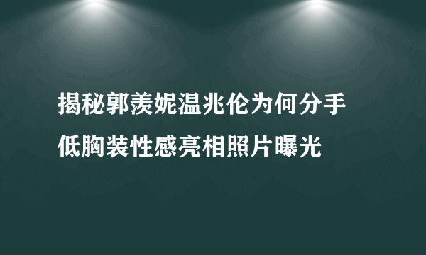 揭秘郭羡妮温兆伦为何分手 低胸装性感亮相照片曝光