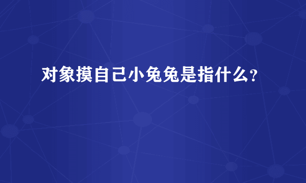 对象摸自己小兔兔是指什么？