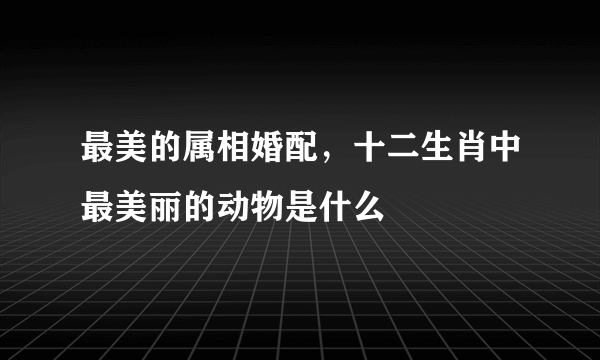 最美的属相婚配，十二生肖中最美丽的动物是什么