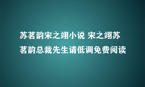 苏茗韵宋之翊小说 宋之翊苏茗韵总裁先生请低调免费阅读