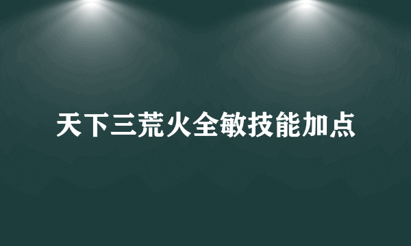 天下三荒火全敏技能加点