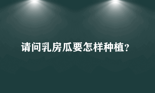 请问乳房瓜要怎样种植？