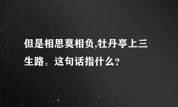 但是相思莫相负,牡丹亭上三生路。这句话指什么？