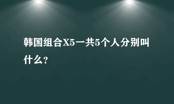 韩国组合X5一共5个人分别叫什么？