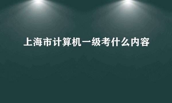 上海市计算机一级考什么内容