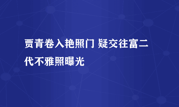 贾青卷入艳照门 疑交往富二代不雅照曝光