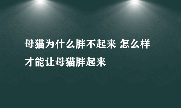 母猫为什么胖不起来 怎么样才能让母猫胖起来