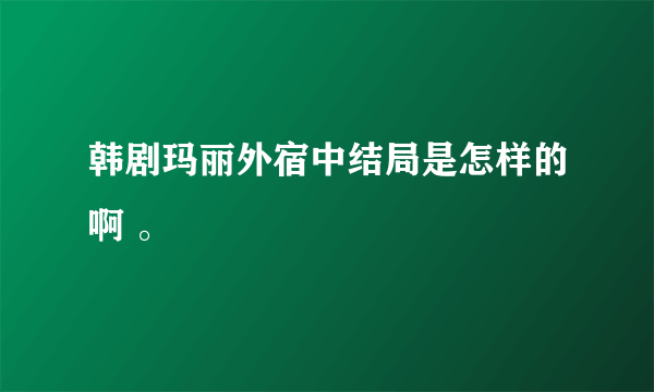 韩剧玛丽外宿中结局是怎样的啊 。