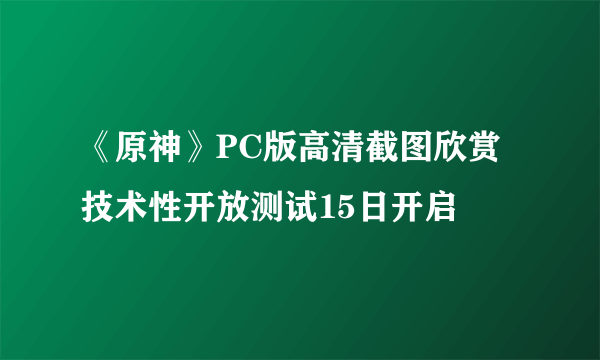 《原神》PC版高清截图欣赏 技术性开放测试15日开启