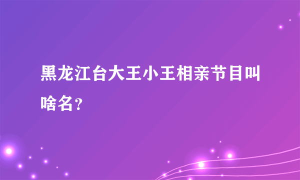 黑龙江台大王小王相亲节目叫啥名？