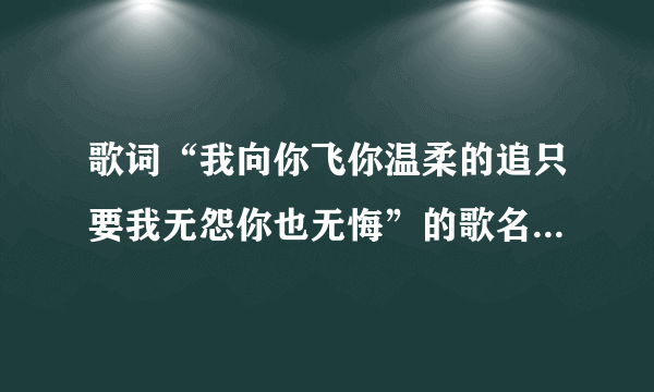 歌词“我向你飞你温柔的追只要我无怨你也无悔”的歌名是什么？